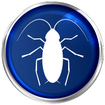 Cockroach Commercial