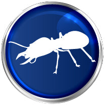 Termite Commercial
